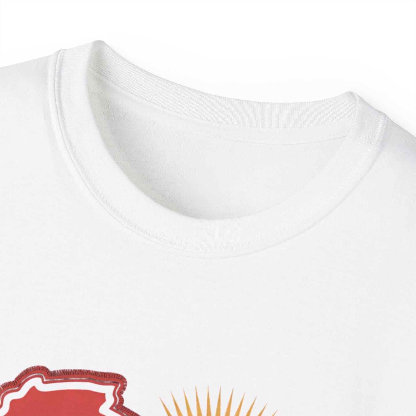 Unisex Ultra Cotton Tee